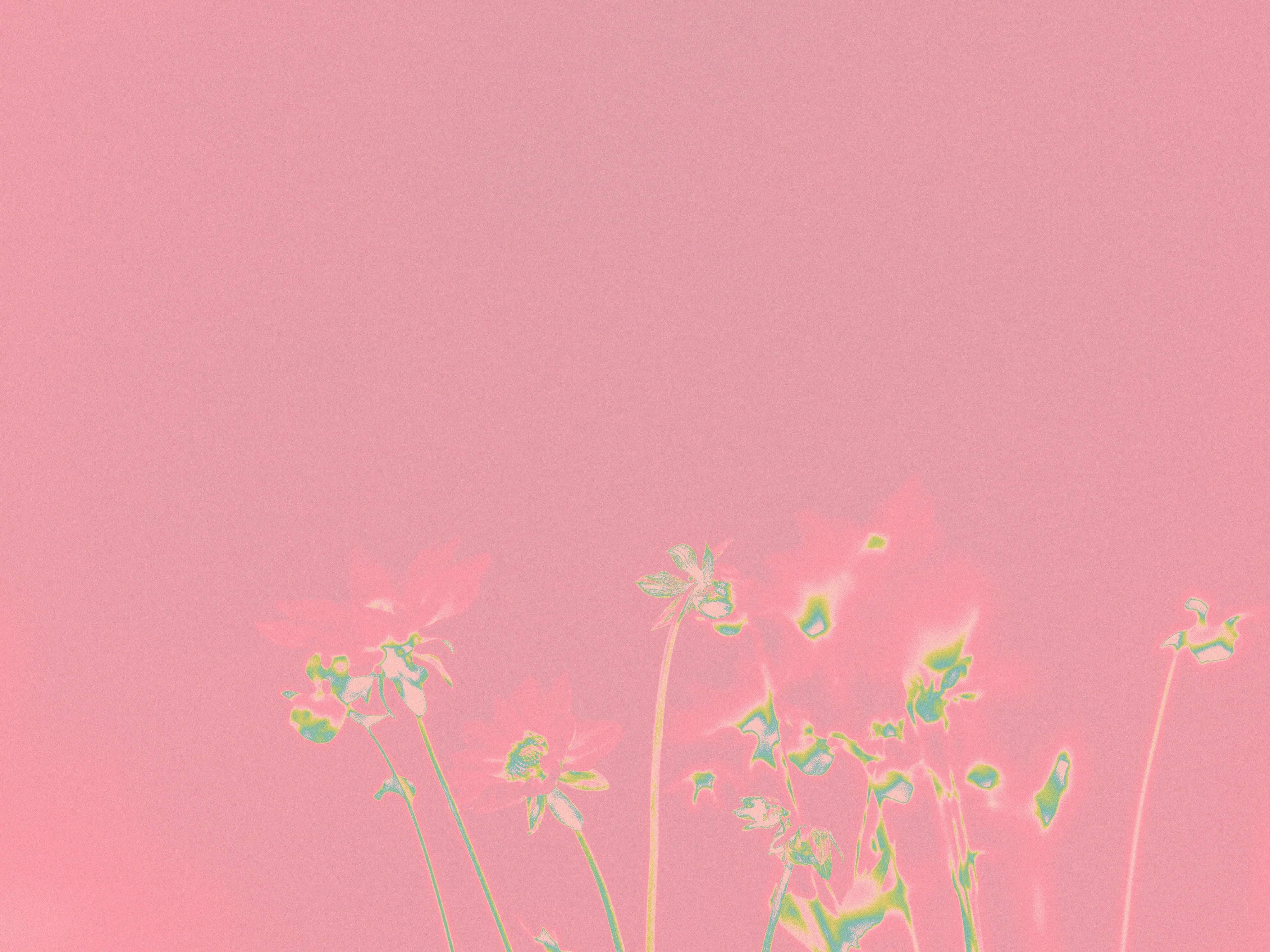 MAGIAttention mainpage blog